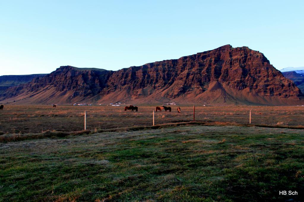 Steinar South Iceland Guesthouse מראה חיצוני תמונה