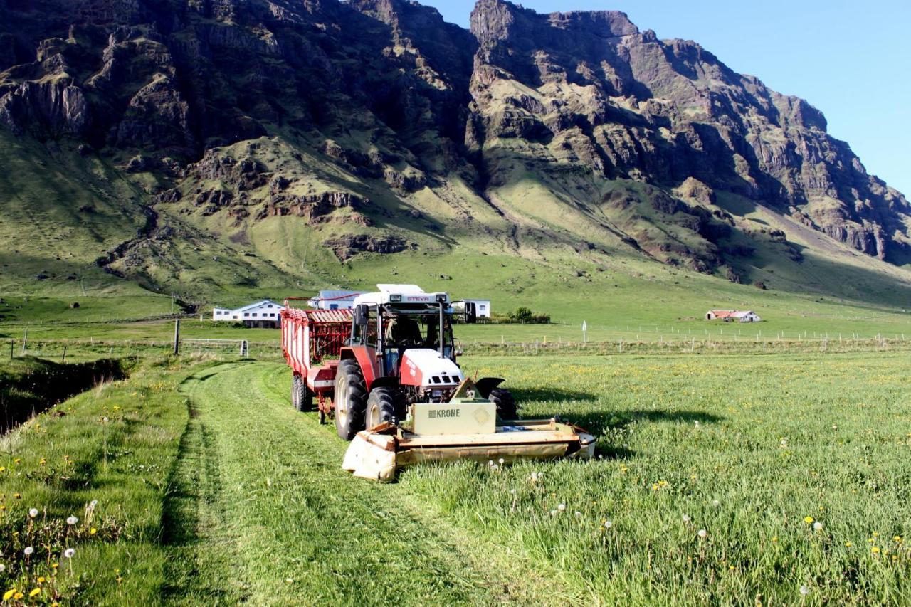 Steinar South Iceland Guesthouse מראה חיצוני תמונה